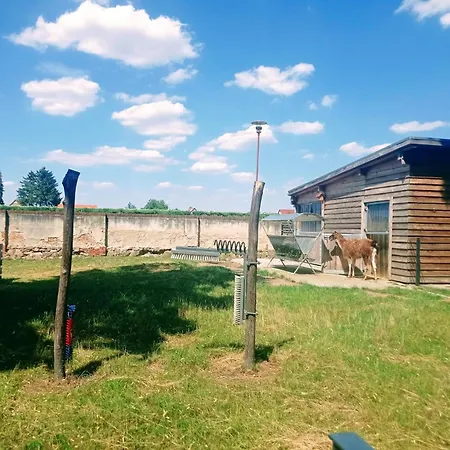 Apartment Velo - In Historic Building Dahme (Brandenburg)