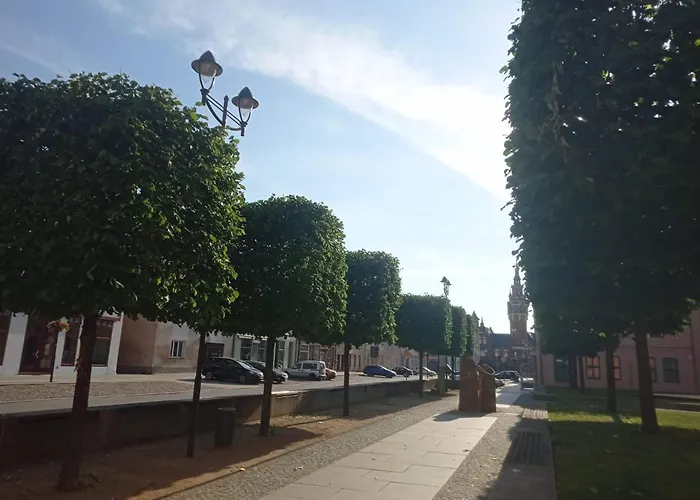 Apartment Velo - In Historic Building