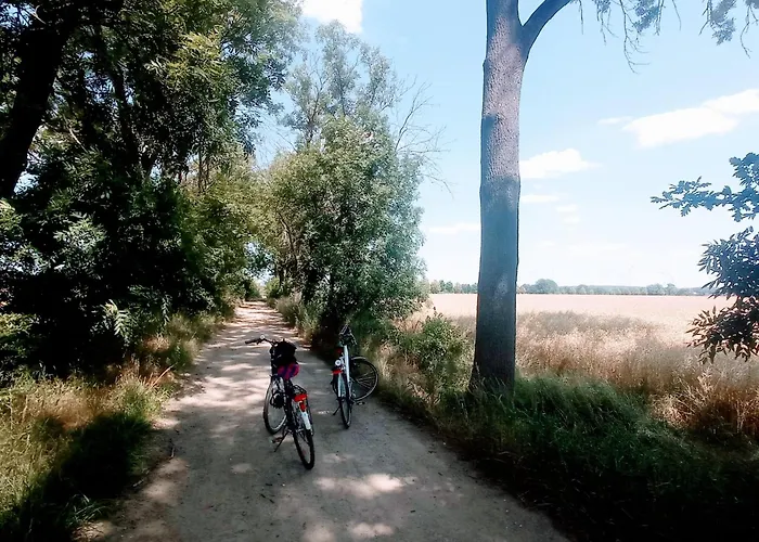 Apartment Velo - In Historic Building