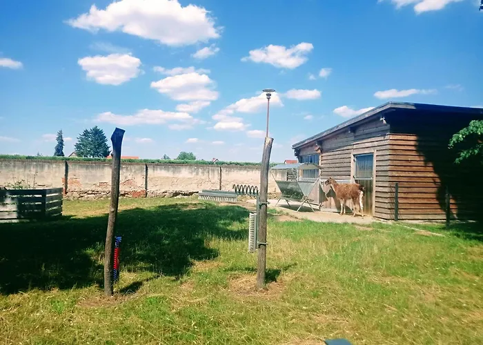 Apartment Velo - In Historic Building Dahme (Brandenburg)